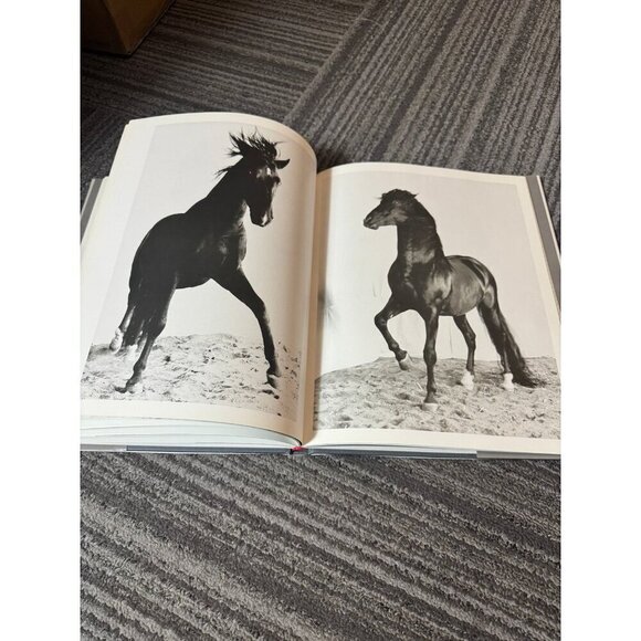Heart of the Horse Juliette Ban otteren photography coffee table book MINT - Picture 6 of 8